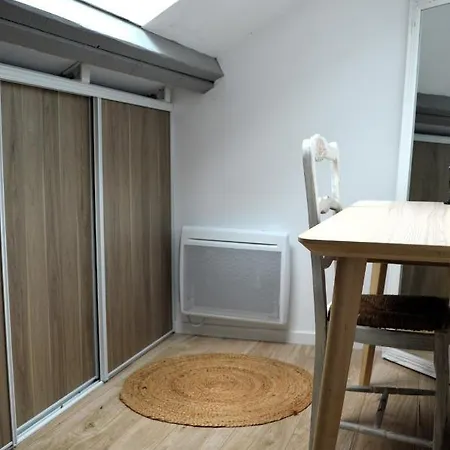 Le Gambetta, 100m De La Appartement