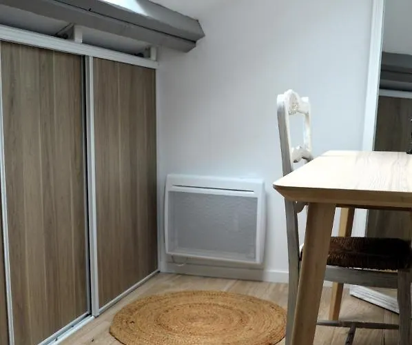 Le Gambetta, 100m De La Appartement